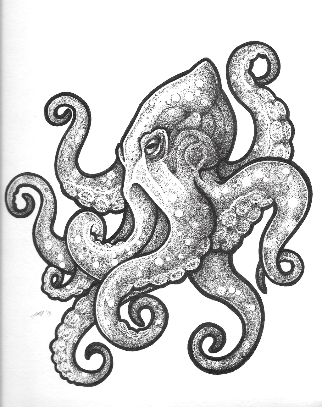 1024x1295 Octopus Design