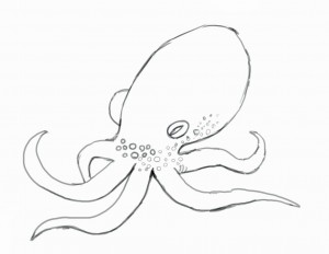 300x232 Final Octopus Sketch Illustrations Octopus