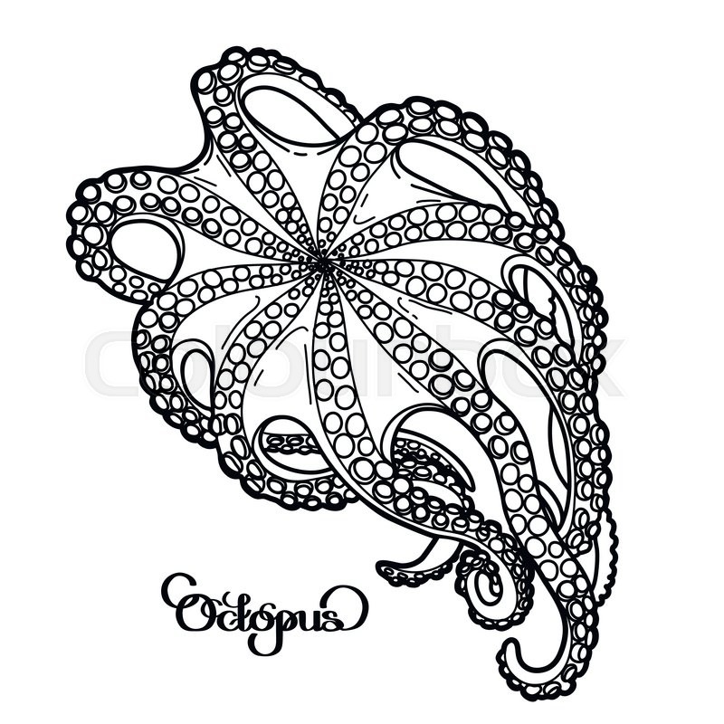 800x800 Graphic Octopus Drawn In A Line Art Style. Bottom View. Ocean