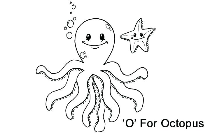 720x460 Octopus Color Page Octopus Coloring Pages Photo Collection Cartoon