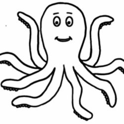 250x250 Octopus Drawing, Pencil, Sketch, Colorful, Realistic Art Images