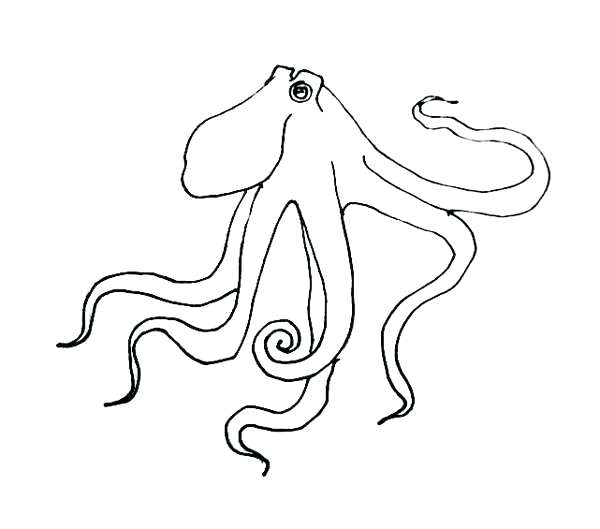 600x529 Octopus For Coloring Coloring Octopus Octopus Coloring Pages Free