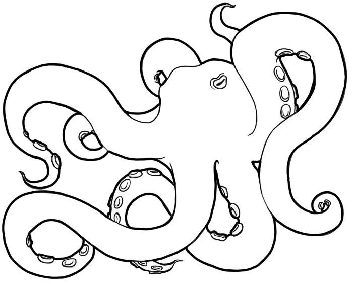 700x564 Octopus Lineart By Imaginarygoddess