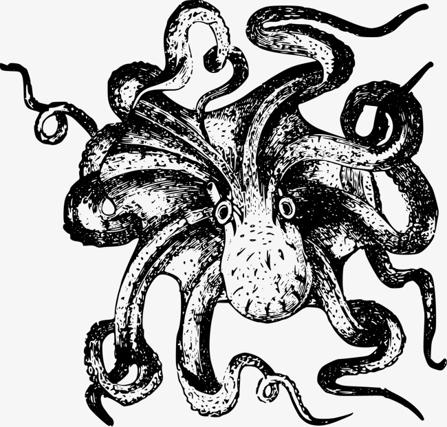 650x621 Vector Painted Octopus, Hand Drawn Octopus, Animal, Vector Free
