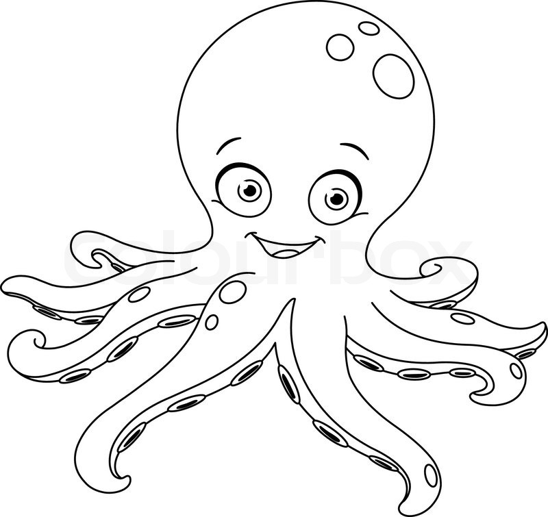 800x755 Outlined Octopus. Coloring Page Stock Vector Colourbox