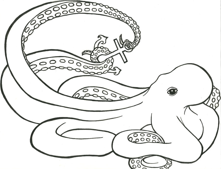 900x689 Tattoo Design Outlinee Octopus By Princesssnuzzlenut