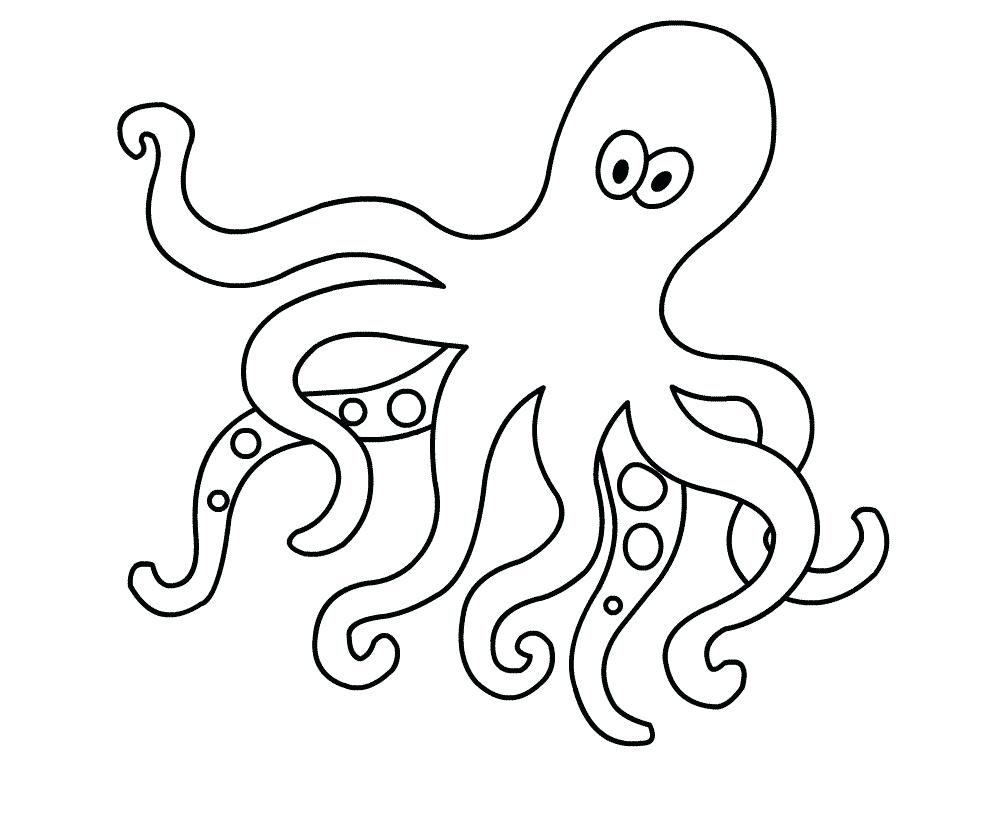 Octopus Outline Drawing at GetDrawings | Free download