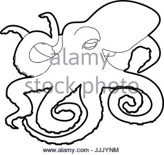 339x320 Giant Octopus