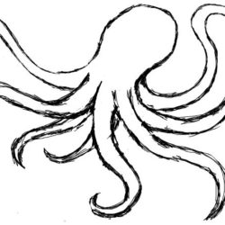 250x250 Octopus Drawing, Pencil, Sketch, Colorful, Realistic Art Images