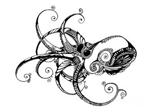 300x218 Octopus Drawings