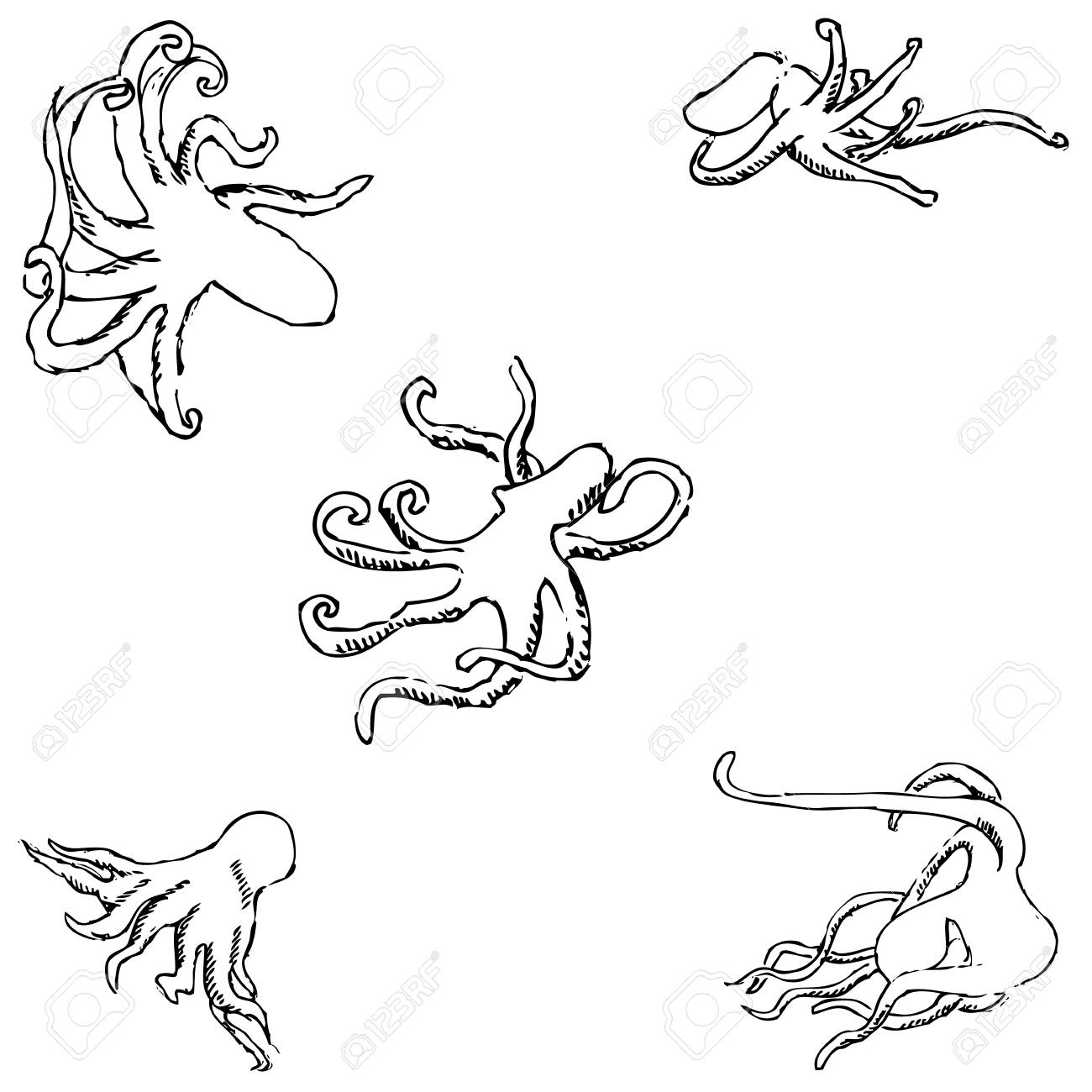 1300x1300 Octopus. A Sketch By Hand. Pencil Drawing. Vector Image