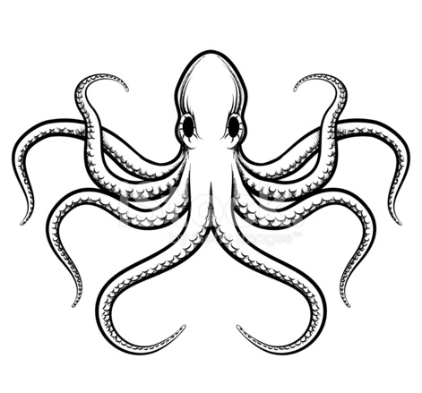 471x439 Vector Octopus Illustration Stock Vector