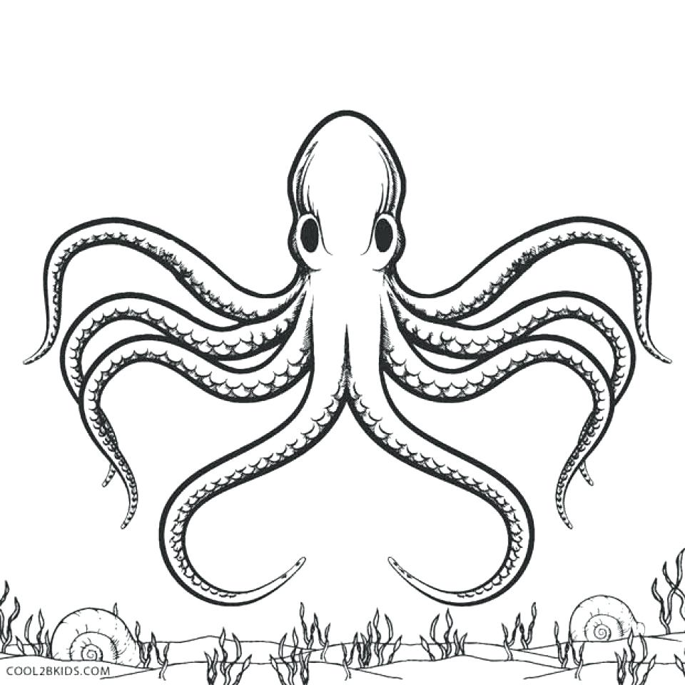 960x960 Coloring Coloring Pages Octopus
