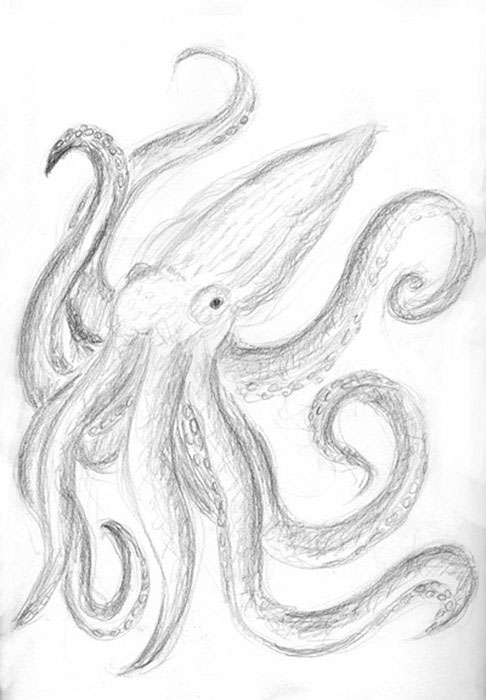 Octopus Pencil Drawing at GetDrawings | Free download