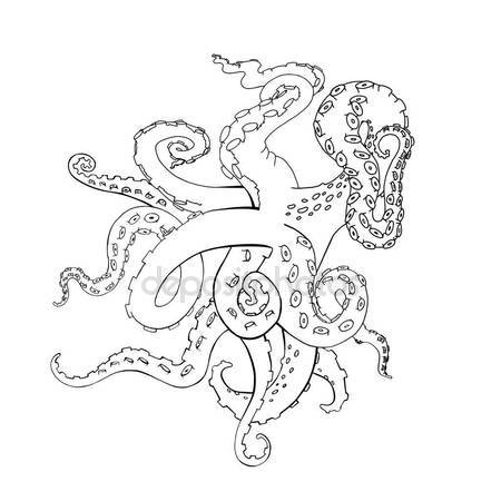450x450 Octopus Tentacles Sketch Stock Vectors, Royalty Free Octopus