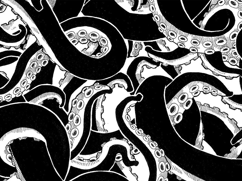 800x600 Tentacles By Senor Octopus