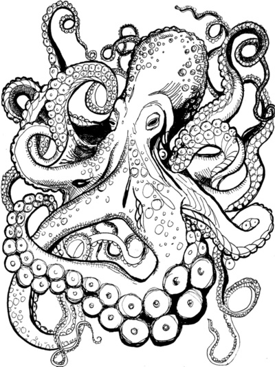 400x534 Octo Illustration Overly Obsessed With Octopuses