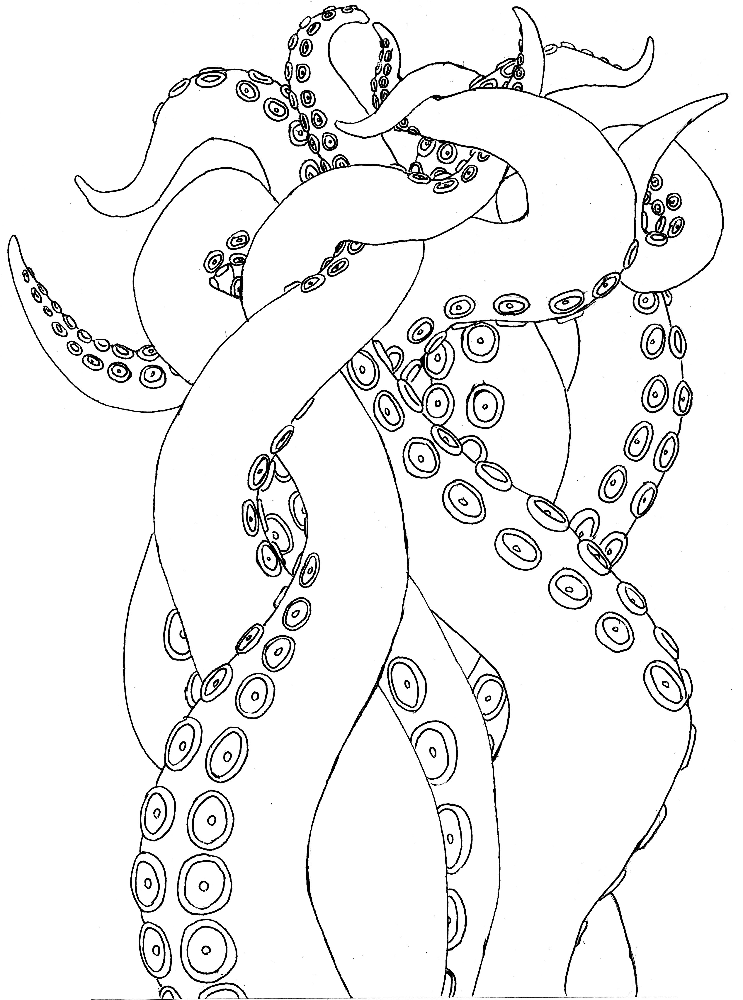 2973x4000 Cephalopodia Corvus Tristis Science, Craft And An Odd Bird