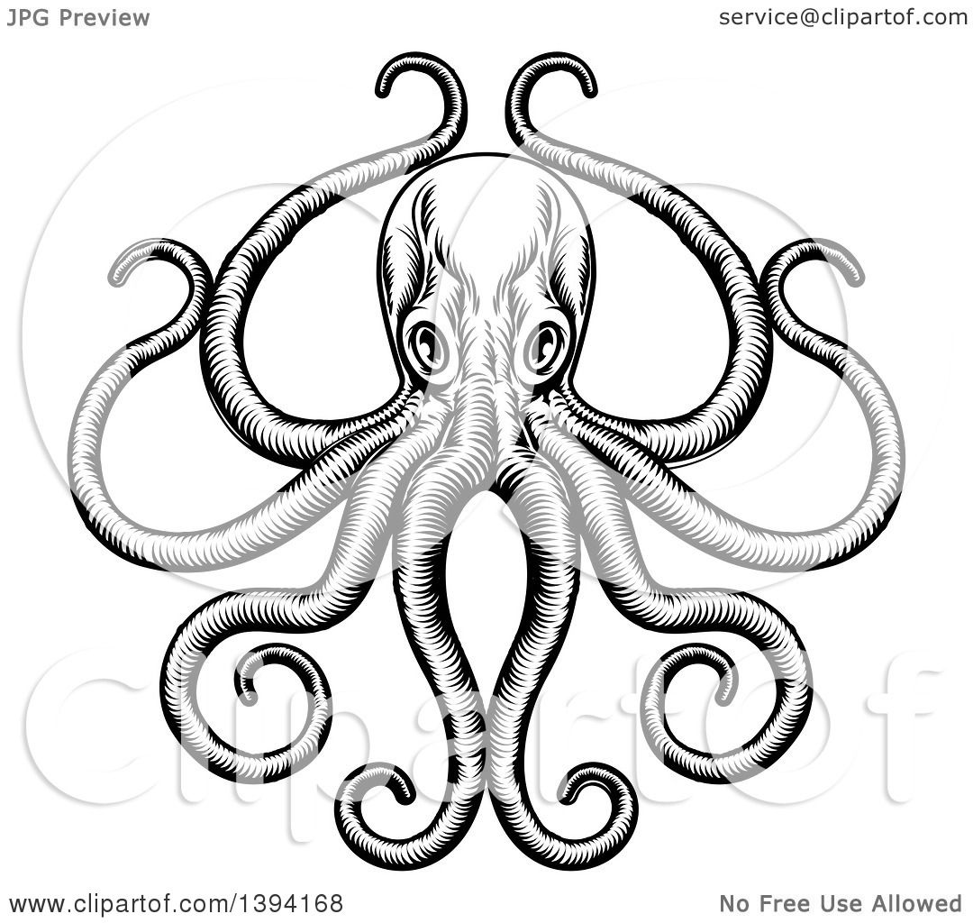 1080x1024 Clipart Of A Black And White Retro Woodcut Octopus With Its