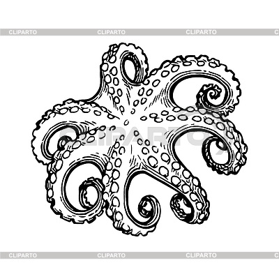 400x400 Octopus Stock Photos And Vektor Eps Clipart Cliparto 3