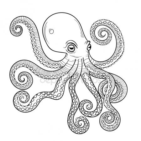 450x450 Octopus Stock Vectors, Royalty Free Octopus Illustrations