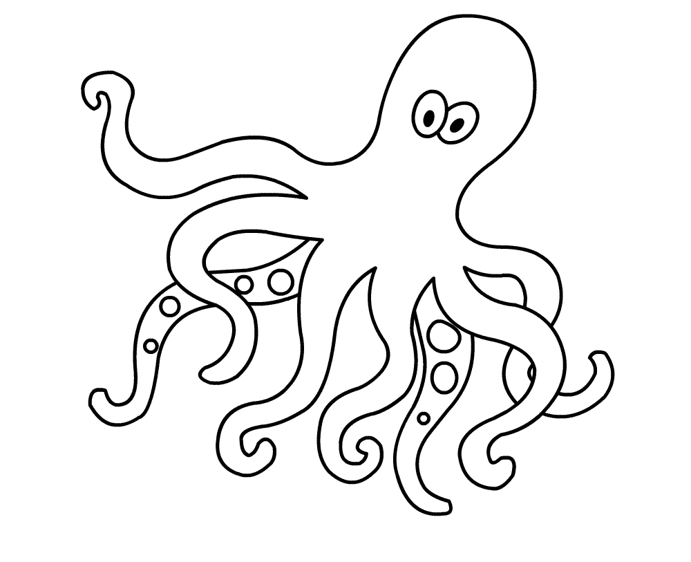 1000x813 Octopus Clipart Easy