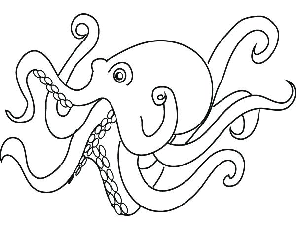 Octopuses Drawing at GetDrawings | Free download