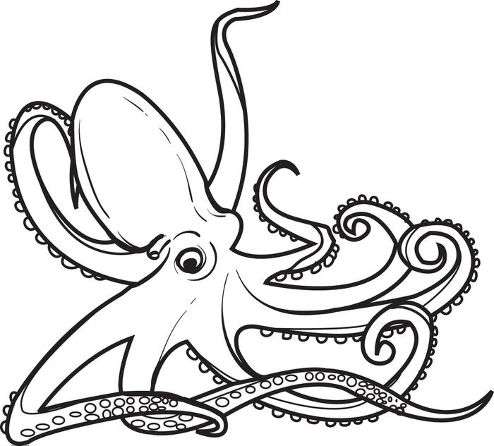 700x632 Octopus Coloring Page Free Printable Octopus Coloring Page