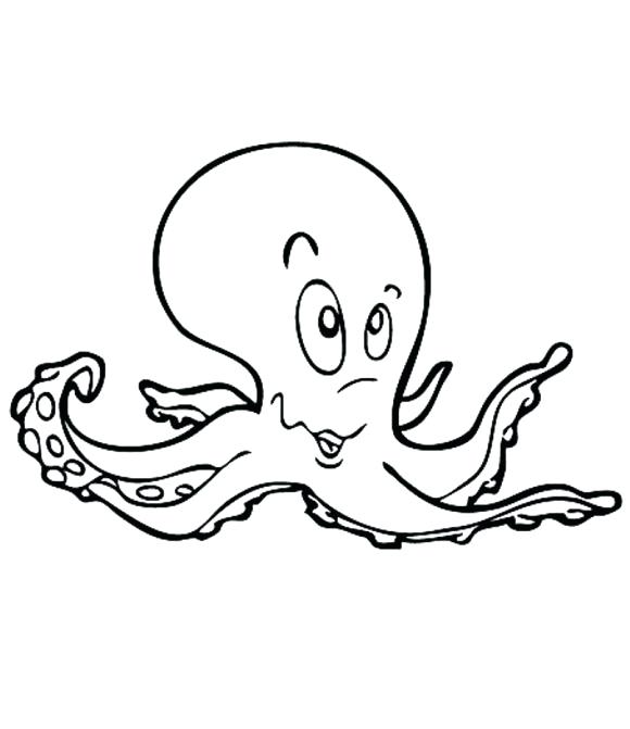 580x671 Coloring Page Octopus. Stunning Octopus Coloring Pages Octopus