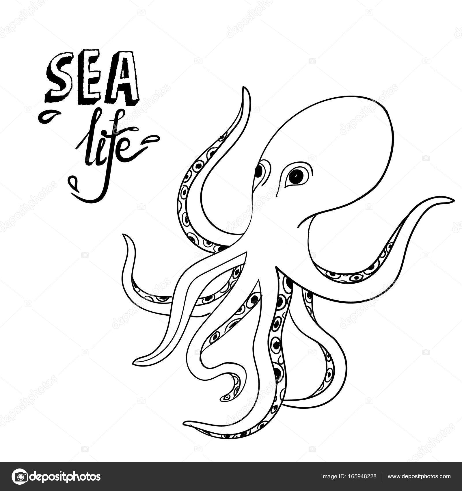 1600x1700 Hand Drawn Octopus. Sketch Wild Sea Life. Creature In The Ocean