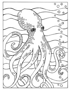 236x305 How To Draw An Octopus School Science