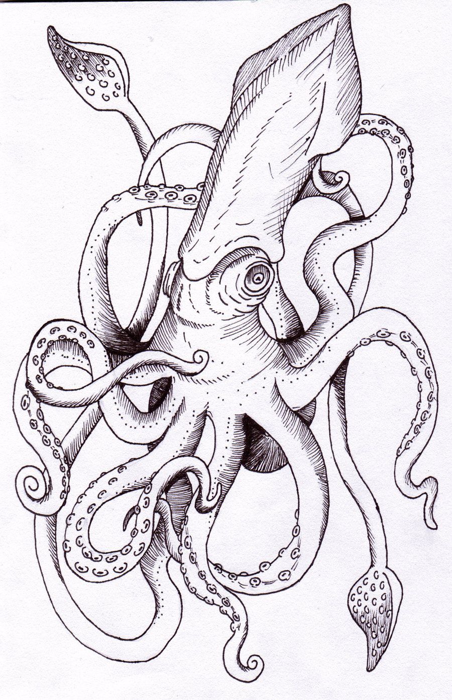 900x1395 Squid Tattoo Design By B.red On Artician Tattoo Ideas