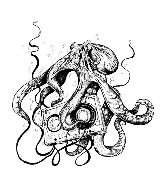 564x658 97 Best Octopus Images On Octopuses, Calamari And Octopus