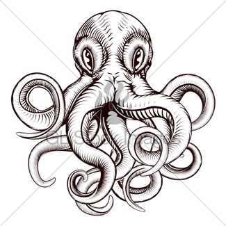 325x325 Octopus Or Squid Illustration Gl Stock Images