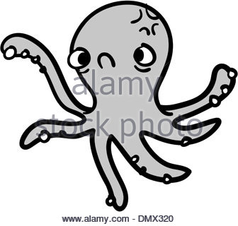 336x320 Mollucca, Animal, Mollusc, Mollusks, Mollusk, Cuttlefish, Cuttle