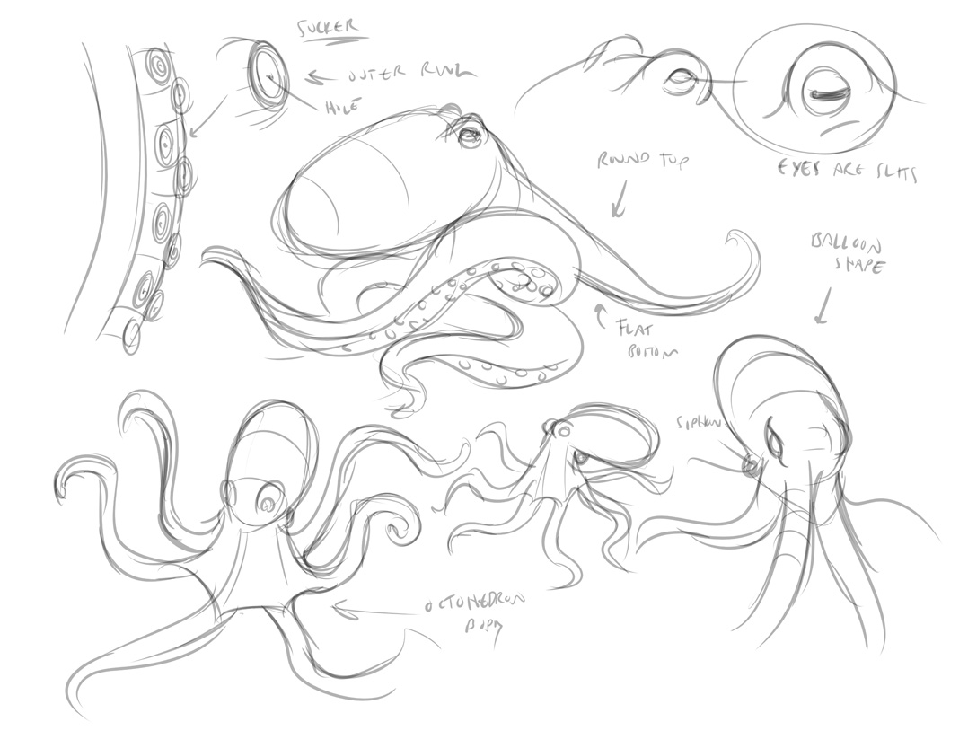 1078x833 Octopus Drawing Tutorial