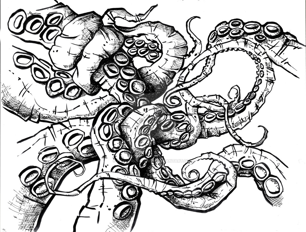 1024x775 Octopus Tattoos Anchor Drawing Octopus Tattoo Sketch Octopus