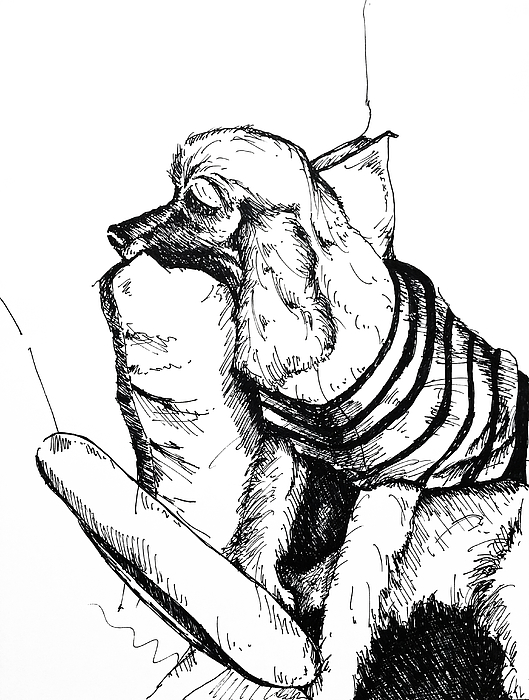 529x700 Kentan's Office Chair Drawing By Doreen T