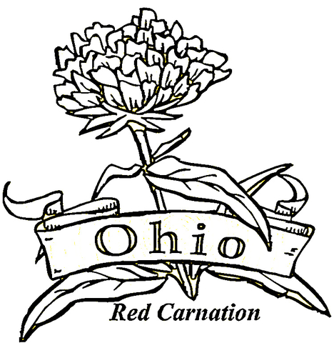 468x480 State Of Ohio Coloring Page Free Printable Coloring Pages