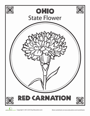 301x388 Ohio State Flower Worksheet