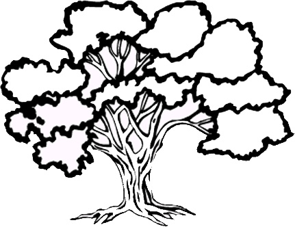 431x332 Best Photos Of Kentucky State Drawing