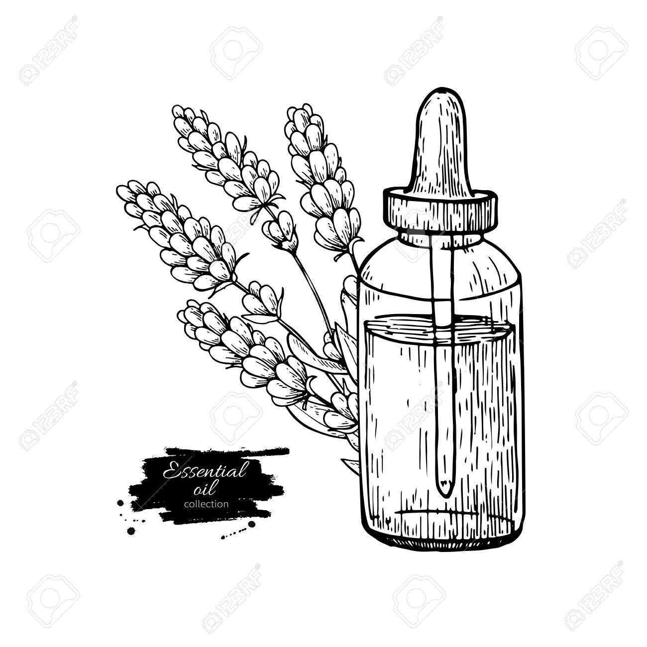 1300x1300 Lavander Essential Oil Bottle And Bunch Of Flowers Hand Drawn