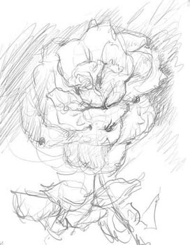 272x350 Free Oil Painting Lesson On Line. Pink Rose With Ant