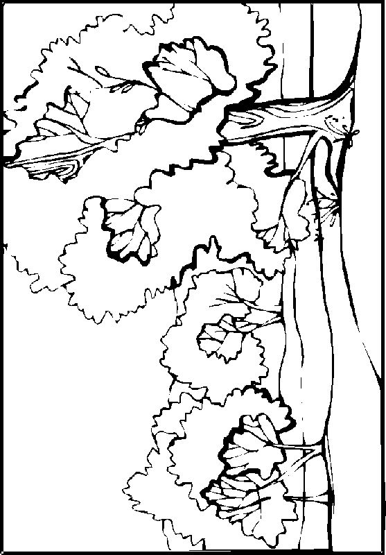 557x800 57 Best Mornwork Images On Drawings, Coloring And Draw