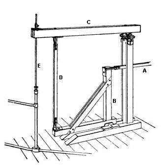 336x341 Elsmere Canyon Jack Plant