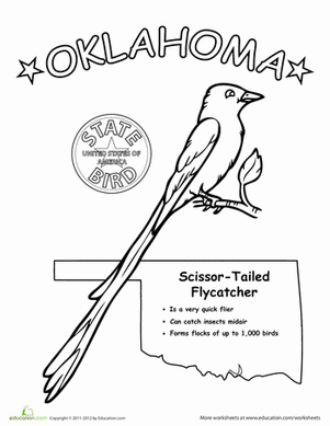301x389 Oklahoma State Bird Worksheet