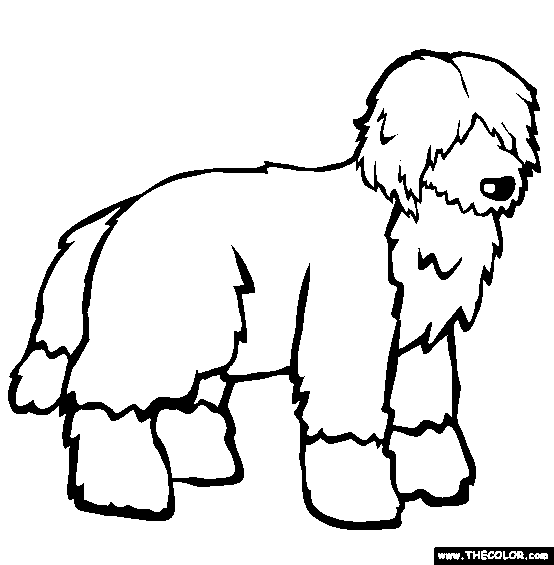 554x565 Dogs Online Coloring Pages Page 1