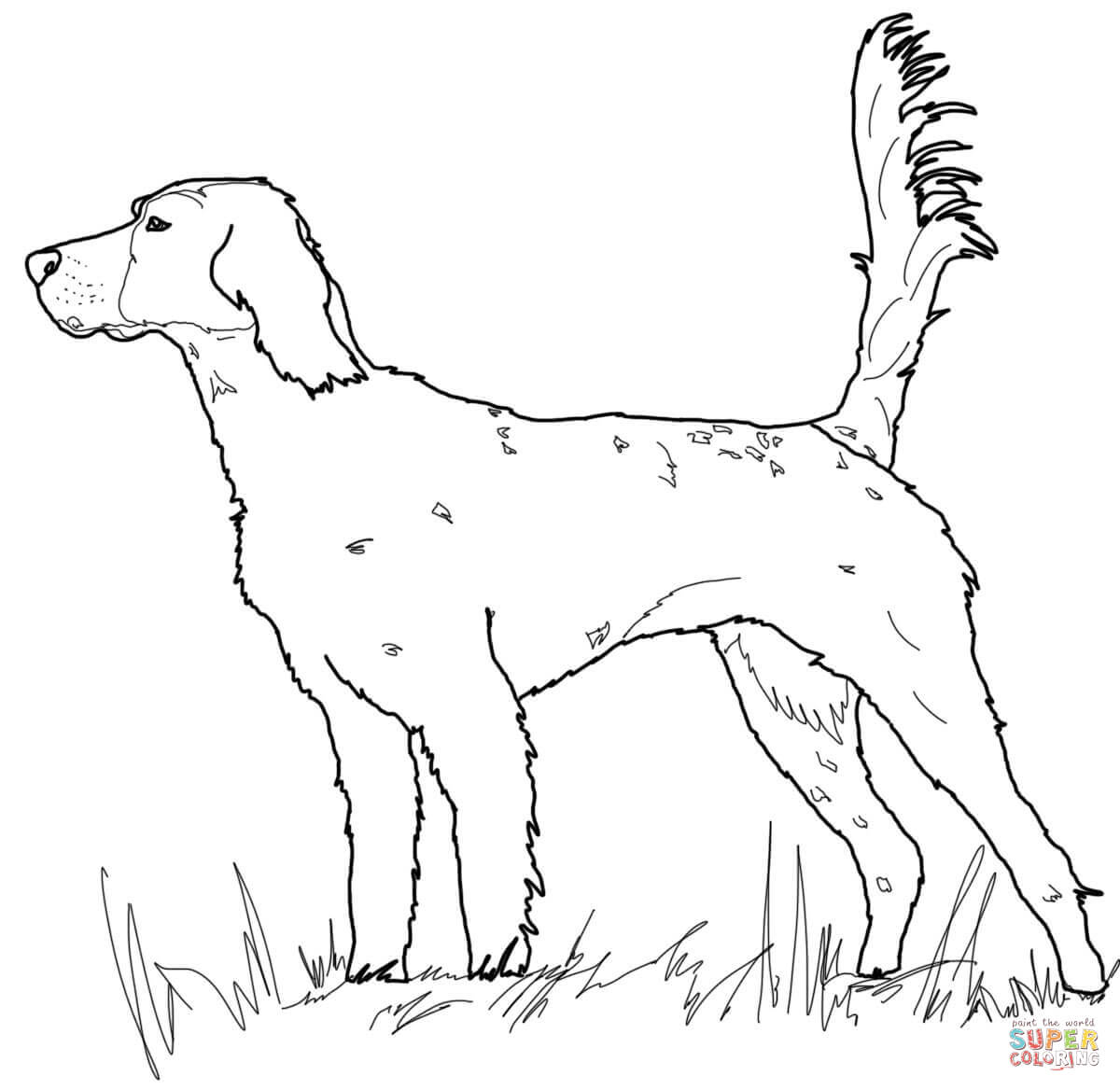 1200x1168 English Setter Coloring Page Free Printable Coloring Pages