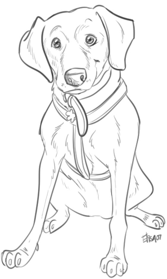 562x936 Would Anyone Like To Draw My Dog Anisha She Is Old And Sweet All