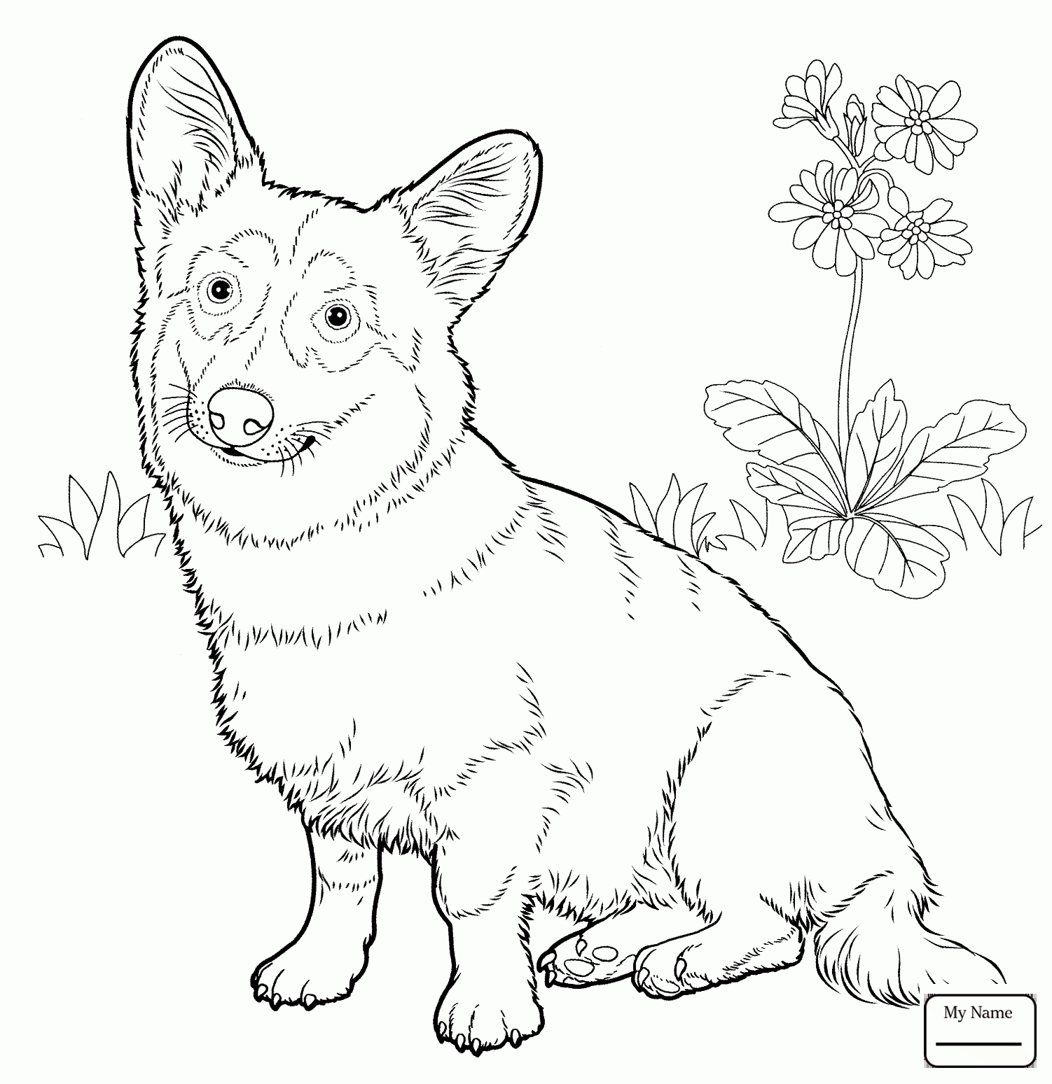 1502x1549 Coloring Pages Old English Sheepdog Dogs Mammals